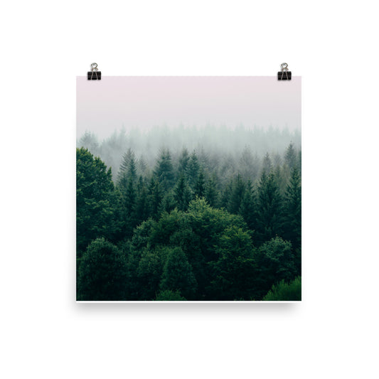 Poster: Hd forest wallpapers